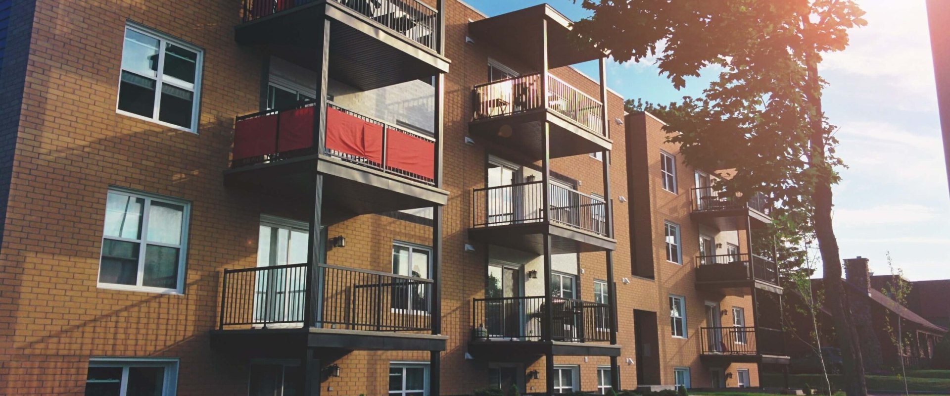 What Cleaning Responsibilities Do Landlords Have Before You Move In in Ontario?